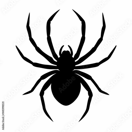 Silhouette of a spider in a dynamic pose