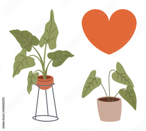 Two potted plants with green leaves on stylish stands and pots next to an orange heart. Ideal for nature, greenery, home decor, love for plants, indoor ambiance, eco-friendly living, and simple