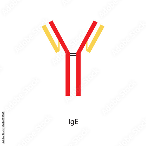 IgE immunoglobulin antibody structure schematic illustration. Simple immunology diagram.