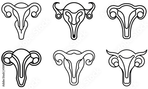 Different Female Reproductive System Diagrams