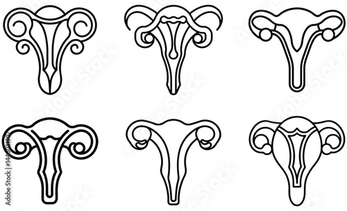Different Female Reproductive System Diagrams