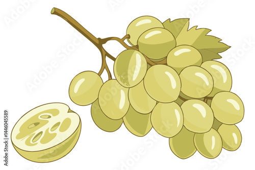 91 Photorealistic bunch of white grapes, translucent yellow color, juicy appearance, detailed grape skin texture, single grape stem, isolated on white background, studio lighting, high-resolution, mac
