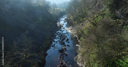 Flying over a river in a forest.