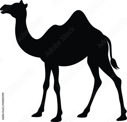 silhouette of a camel walking on white background 