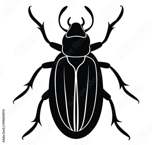 stag beetle isolated on white