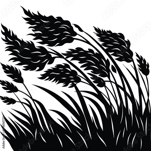 Black and White Silhouettes of Wheat, Grasses, Field Plants. Minimalistic Style