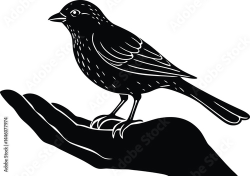 Bird Perched On Hand Silhouette