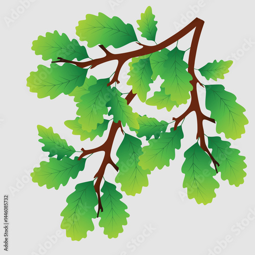 Tree branch with green leaves vector art