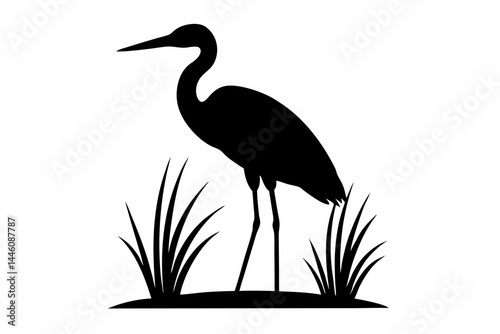 Black heron silhouette standing in a marsh with tall grass