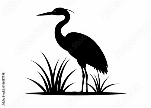 Black heron silhouette standing in a marsh with tall grass