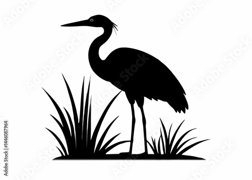 Black heron silhouette standing in a marsh with tall grass