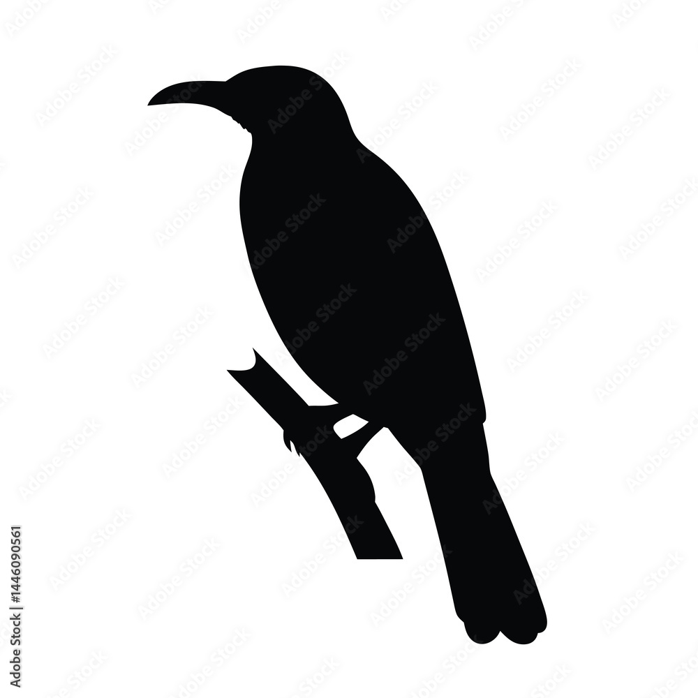 Obraz premium Black Silhouette of a Bird Resting on a Branch in Profile View
