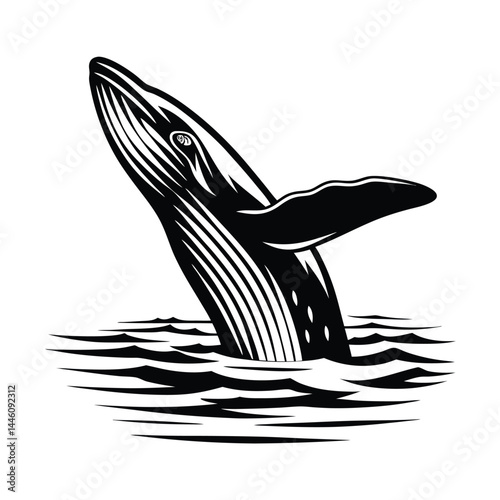 Monochrome Whale Breaching Sea, Splashing Water, Marine Life, Wildlife Silhouette, Ocean