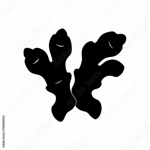 Silhouette of a pair of ginger root plants with leaves and details