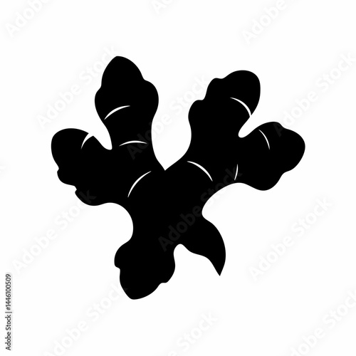 Silhouette of a pair of ginger root plants with leaves and details