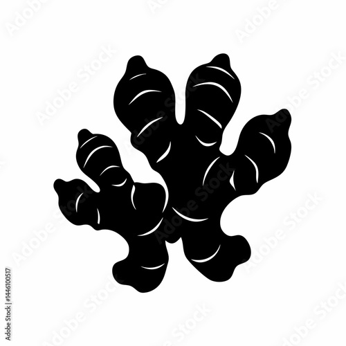 Silhouette of a pair of ginger root plants with leaves and details