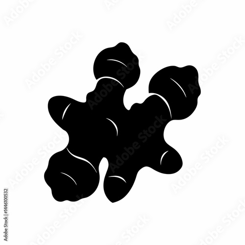 Silhouette of a pair of ginger root plants with leaves and details