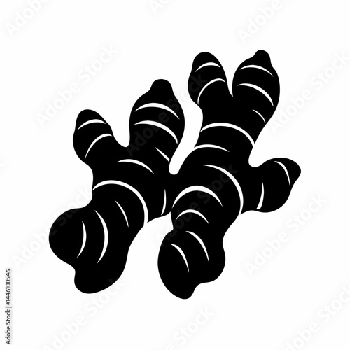 Silhouette of a pair of ginger root plants with leaves and details