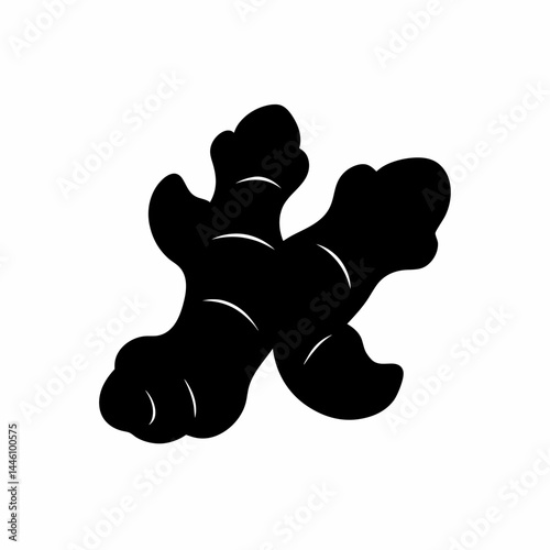 Silhouette of a pair of ginger root plants with leaves and details