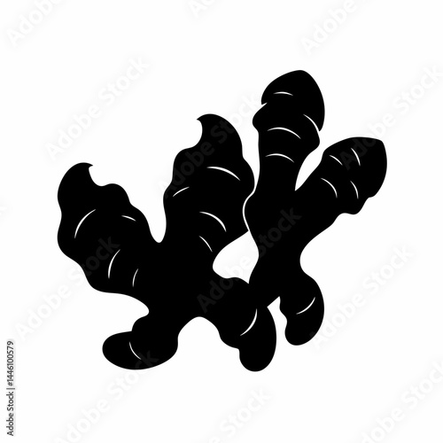 Silhouette of a pair of ginger root plants with leaves and details