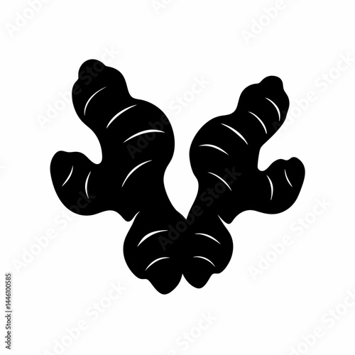 Silhouette of a pair of ginger root plants with leaves and details