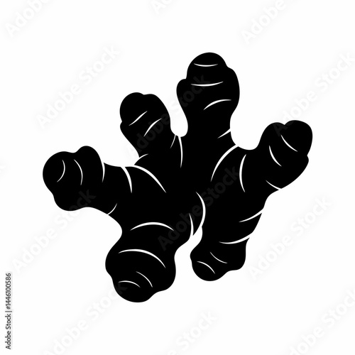 Silhouette of a pair of ginger root plants with leaves and details