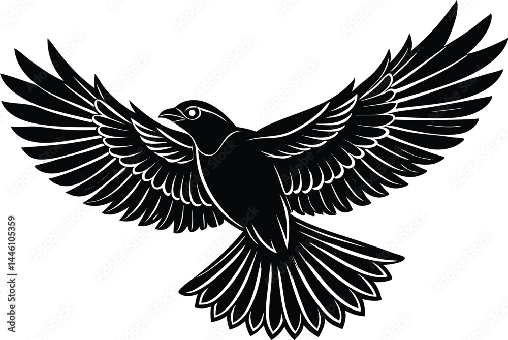 Obraz premium Flying Bird With Wings Spread Silhouette