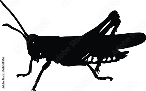 grasshopper vector silhouette, grasshopper black icon vector