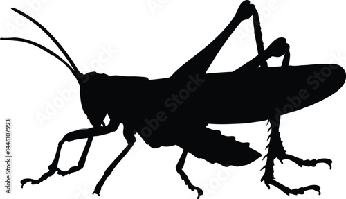 Grasshopper black silhouette vector illustration