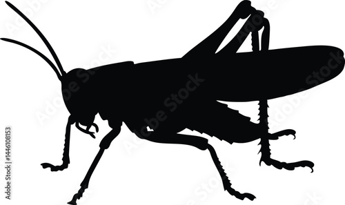 Grasshopper black silhouette vector illustration
