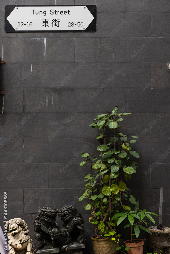 © Natasha Lee - Vignette of a street sign on gray wall in Hong Kong with plants and traditional lion statues.