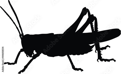 Grasshopper black silhouette vector illustration