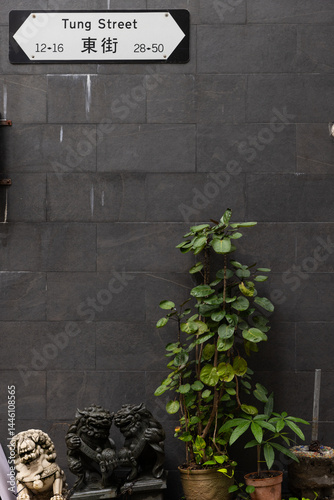 Vignette of a street sign on gray wall in Hong Kong with plants and traditional lion statues.  photo