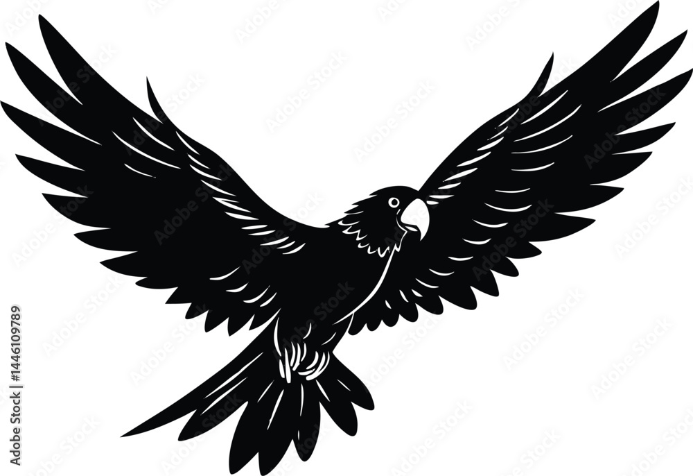 Obraz premium Parrot Silhouette Flying