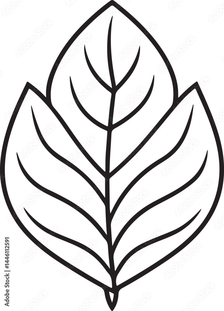 leaves line art, black outline, vector and illustration, coloring book page line art drawing leaves line art, black outline, vector and illustration, coloring book page line art drawing