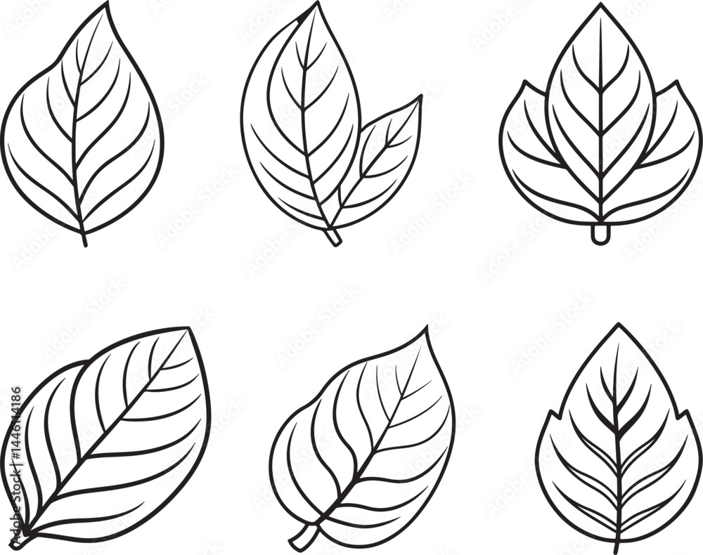 Obraz premium set of leaves line art, black outline, vector and illustration, coloring book page line art drawing
