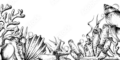 Corals, sea sponges, seaweed, shells, starfish and bubbles. Hand drawn graphic illustration in black and white color line art. Frame template horizontal for text on marine theme