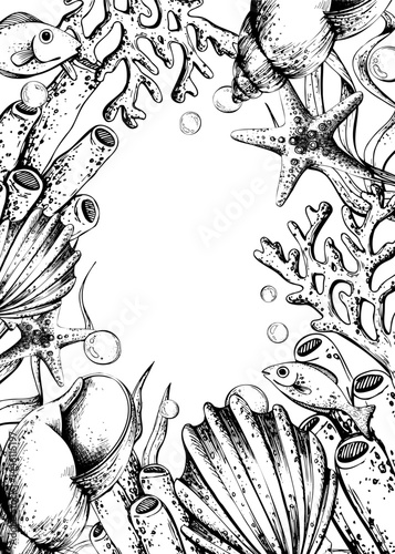 Corals, sea sponges, seaweed, shells, starfish and bubbles. Hand drawn graphic illustration in black and white color line art. Frame vertical template for text on marine theme