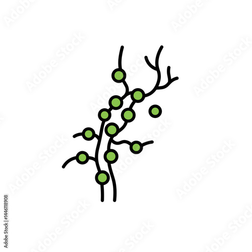 Lymphatic system detox icon with green lymph nodes  