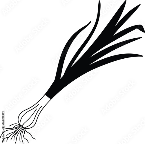black silhouette of a white feather