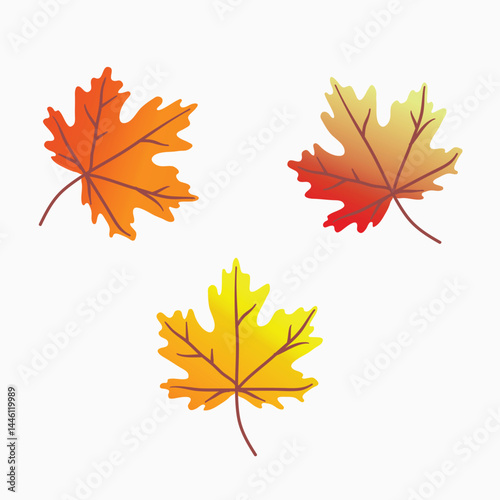 colorful autumn maple leaves on white background