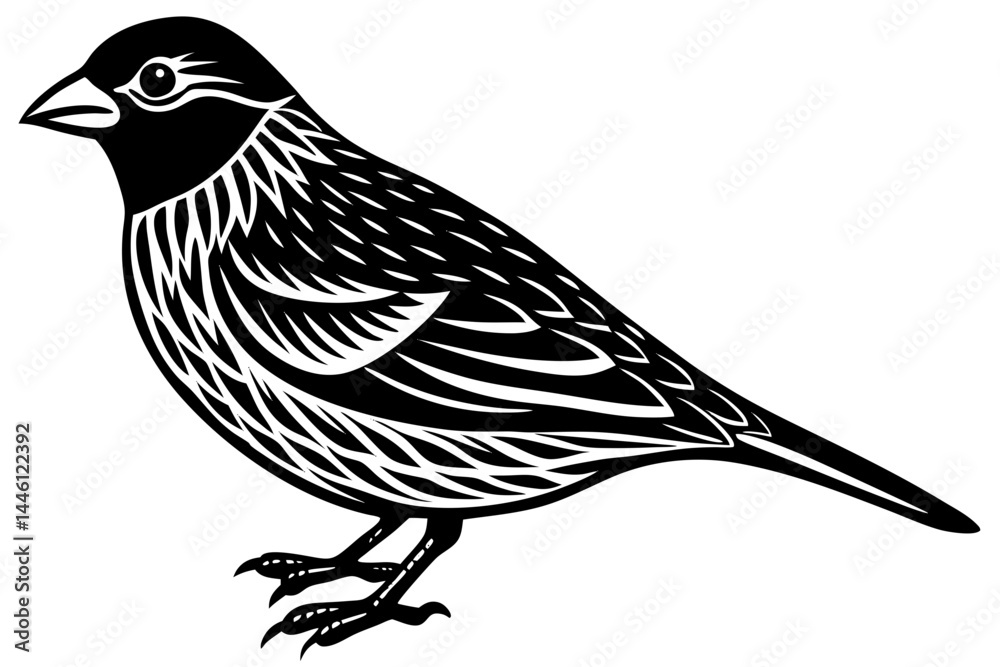 Fototapeta premium Cute Bird Vector Line Art Illustration – Clipart, Logo Icon, Black and White Bird Drawing