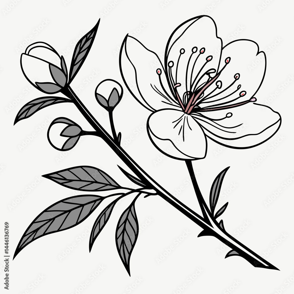 Obraz premium black and white flowers