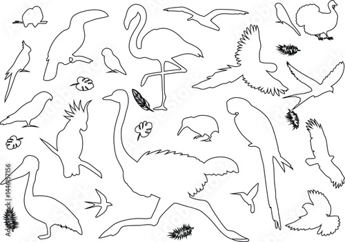 The bird line vector is set on a white background: an avian clipart bundle, a nature illustration pack, bird outline graphics, ornithology icons, and wildlife vector artwork.