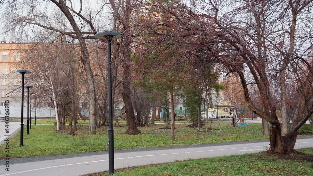 Trees sway along winding park path as people stroll past lamp posts and bare branches, autumn leaves lightly scattered on grass and pavement, distant buildings visible through trunks Trees sway along winding park path as people stroll past lamp posts and bare branches, autumn leaves lightly scattered on grass and pavement, distant buildings visible through trunks