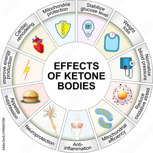 Effects of Ketone Bodies and the Ketogenic Diet
