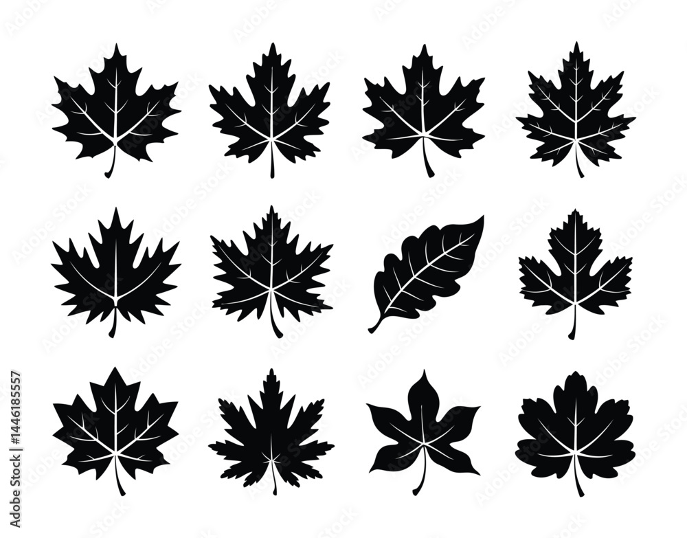 Obraz premium Fall Season Botanical Silhouette Collection