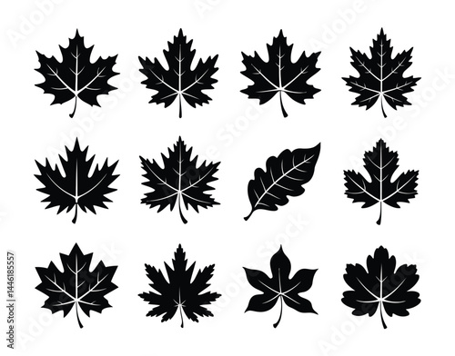 Fall Season Botanical Silhouette Collection