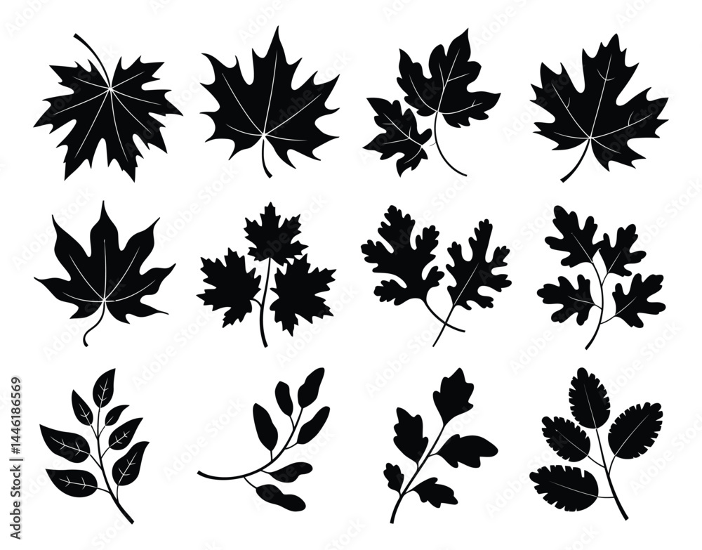 Fototapeta premium Monochrome Vector of Autumn Foliage and Berries