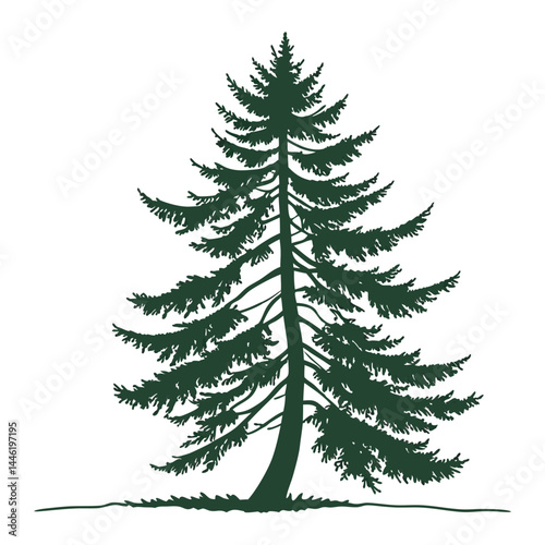 A simple, symmetrical  a tall evergreen pine tree with layered branches, dark green color 